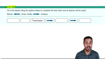 Community Structure Example 2