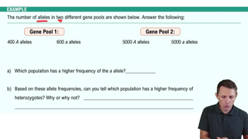 Genetics and Allele Frequencies Example 1