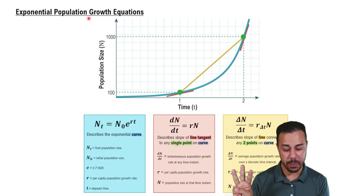 Exponential Population Growth Equations