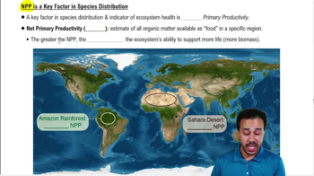 NPP is a Key Factor in Species Distribution