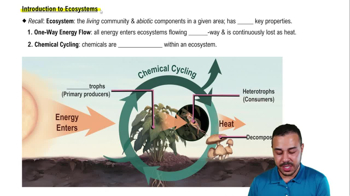 Introduction to Ecosystems