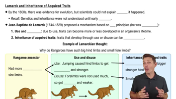 Lamarck and Inheritance of Acquired Traits