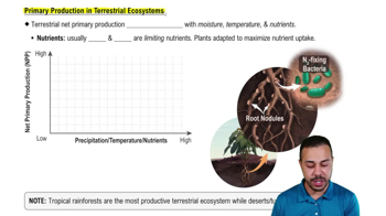 Primary Production in Terrestrial Ecosystems