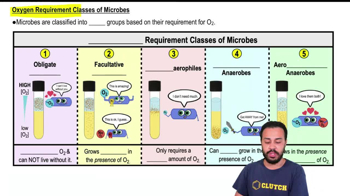 Oxygen Requirement Classes of Microbes