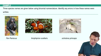 Introduction to Phylogeny Example 1