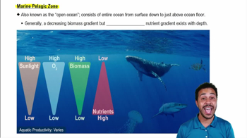 Marine Pelagic Zone