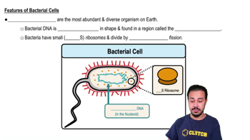 Features of Bacterial Cells