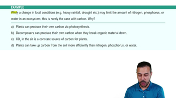 Biogeochemical Cycles Example 3