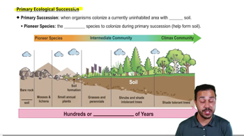 Primary Ecological Succession