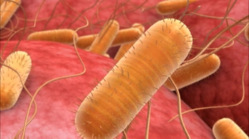 BioFlix: Replication fork in E. Coli