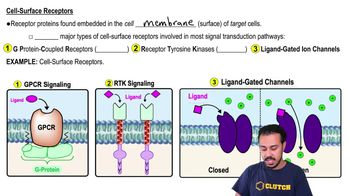 Cell-Surface Receptors