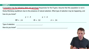 Natural Selection Example 2