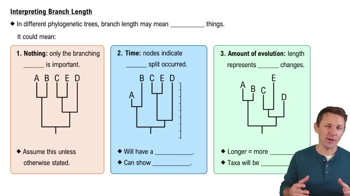 Interpreting Branch Length