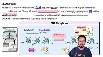 DNA Methylation