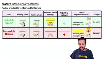 Review of Inducible vs. Repressible Operons