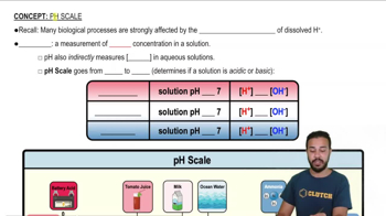 pH Scale