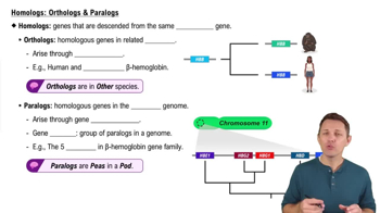 Homologs: Orthologs & Paralogs