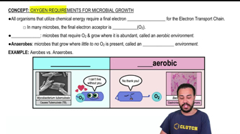 Oxygen Requirements for Microbial Growth