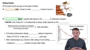 Dating Fossils