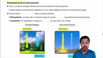 Environment & Life are Interconnected