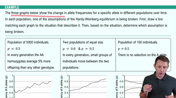 Assumptions of the Hardy-Weinberg Principle Example 1