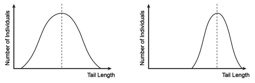 Graph comparing deer mice tail lengths in prairie and forest ecosystems.