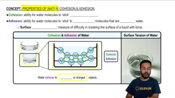 Properties of Water- Cohesion and Adhesion