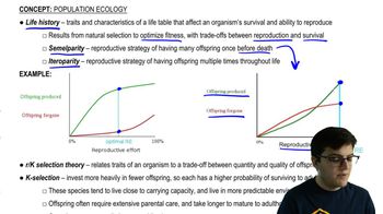 Life History and r/K Selection