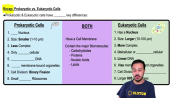 Recap: Prokaryotic vs. Eukaryotic Cells