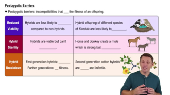 Postzygotic Barriers