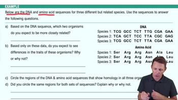 Evidence of Evolution Example 2