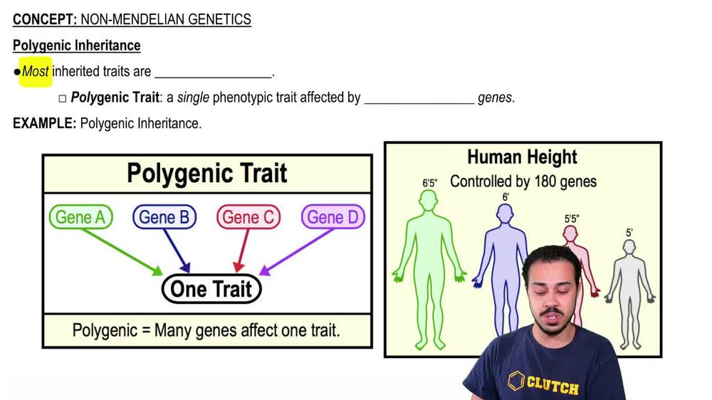 polygenic traits examples in animals