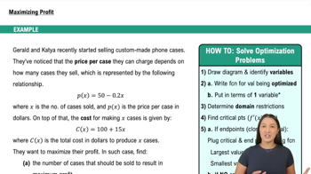 Example 3: Maximizing Profit