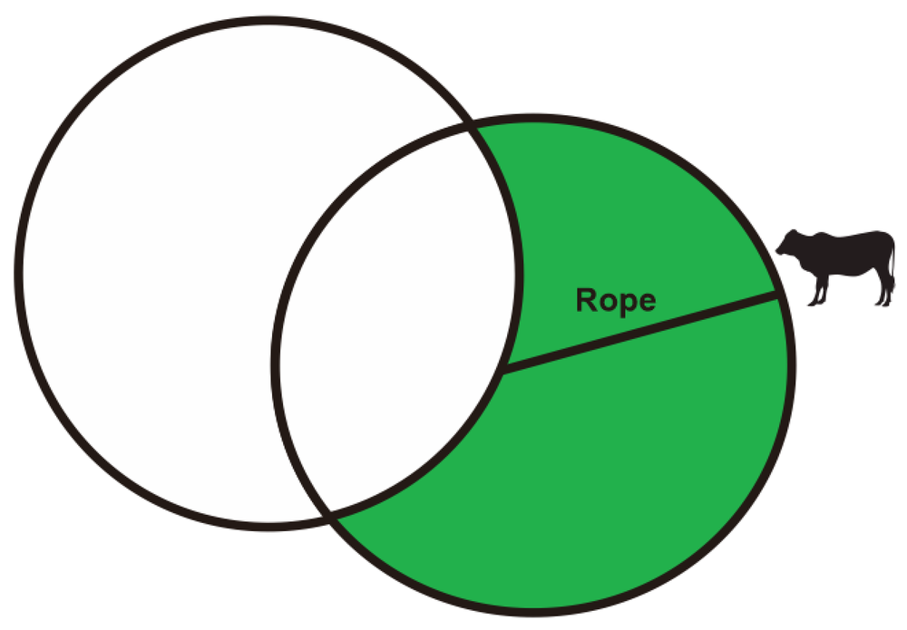 Two overlapping circles with radius 3 meters, showing the grazing area outside the corral where a cow is tied.