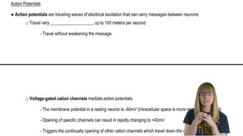 Action Potentials