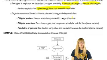 Oxygen and Respiration