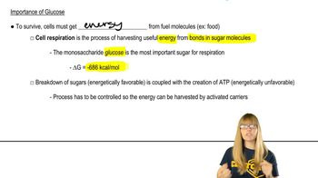 Glucose