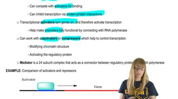 Transcription Regulators Action