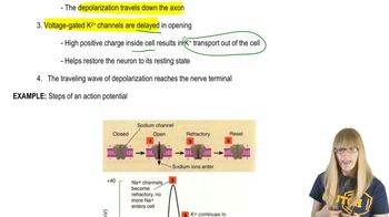 Neuronal Signaling Steps