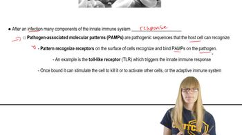 Innate Immunity