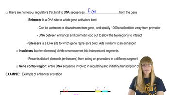 Types of Transcriptional Regulators