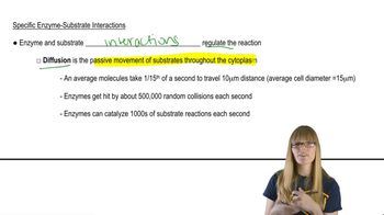 Substrate Interactions