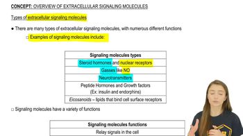 Types of Molecules