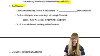 Evolution of RNA