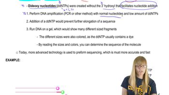 DNA Sequencing