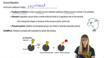 Enzyme Regulation