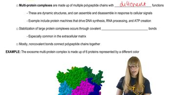 Complex Protein Structures