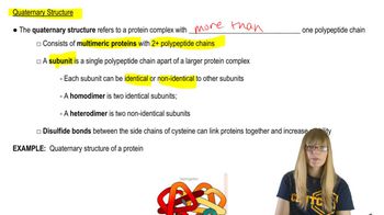 Quaternary Structure