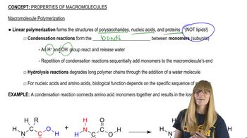 Polymerization