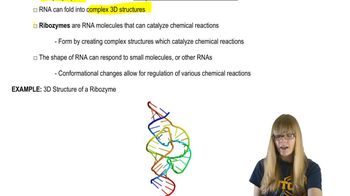 Properties of RNA